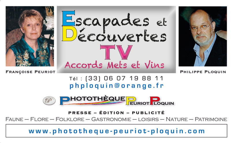 CARTE_de_VISITE_Escapades_et_DecouvertesTV_marges