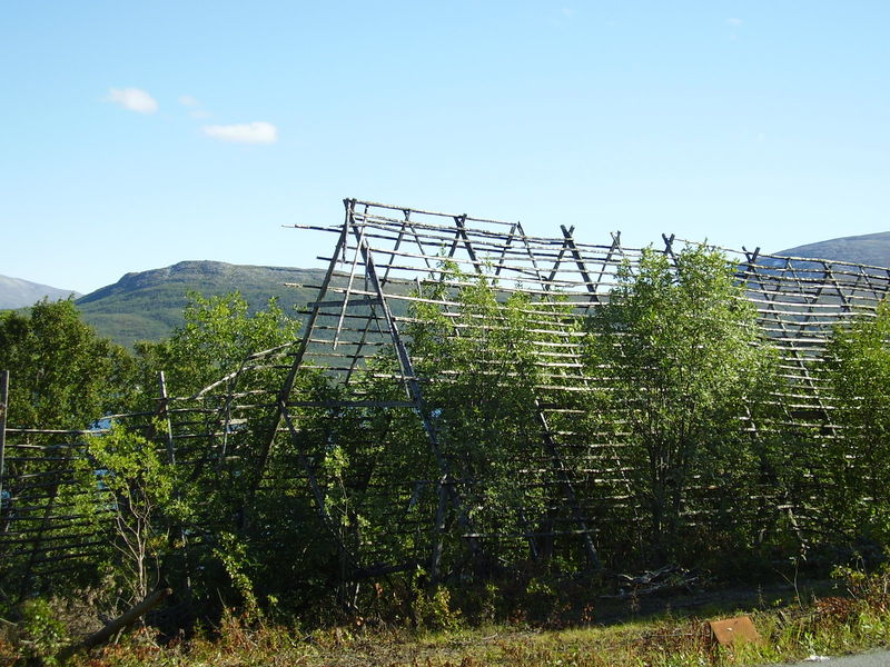 24-08-08 Sortie Vélo Tromso (108)