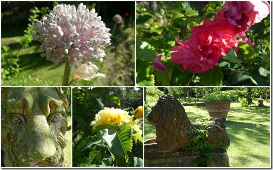 jardin 24 juin 20236