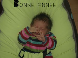 Bonne_Annee___Lo_se