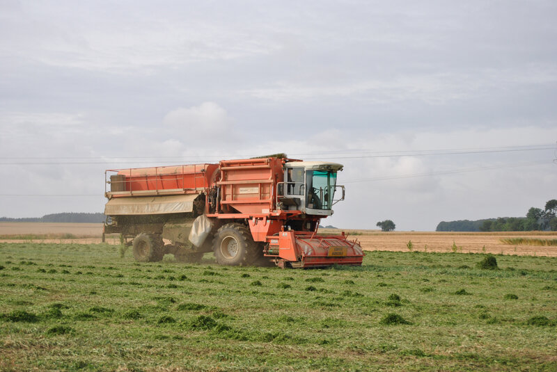 baromesnil petit pois hervé brasseur 018 (100)