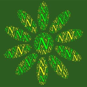N