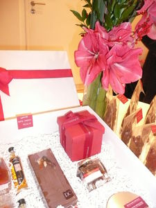 soir_eD_clinaisonChocolat_Paris_Dec09__011