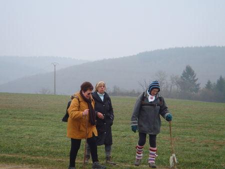 30_JANVIER_2011_AUTOUR_DE_L_ARROUX_006