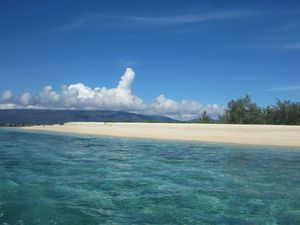 îlot Pouh - mars 2012 061