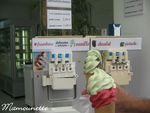 Noirmoutier_samedi_13_sept_08_017