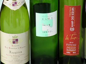 dégustation des languedocs 037