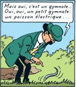 Le professeur Tournesol