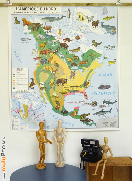 CARTE-Amérique-Nord-végétation-faune-11-muluBrok-Vintage