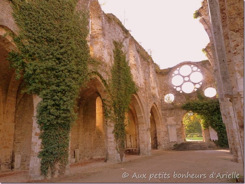 Abbaye des Vaux de Cernay (20)