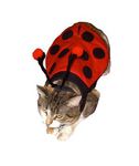 ladybug-costume_300