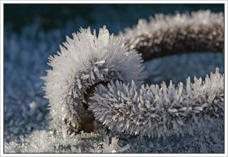 anneau_glace_310110