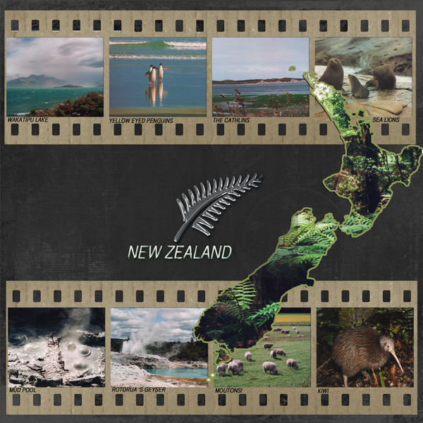 New_Zealand_Trip6X6
