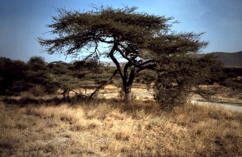tanzanie 05