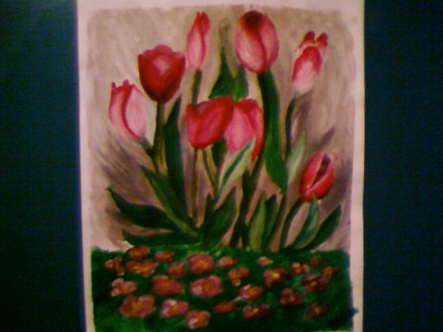Dessin_tulipe