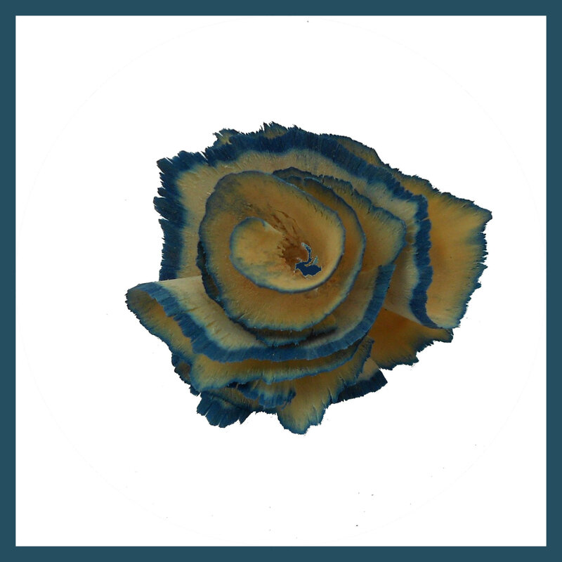 Sc fleur fev 2020 1