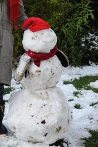 neige_004_b