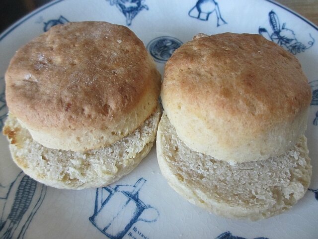 blog scones