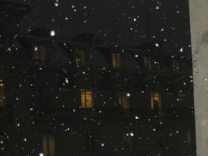 IMG_7140