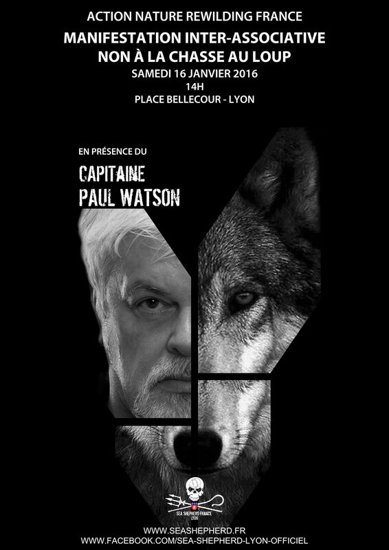affiche_ssf_loup_lyon_1448w