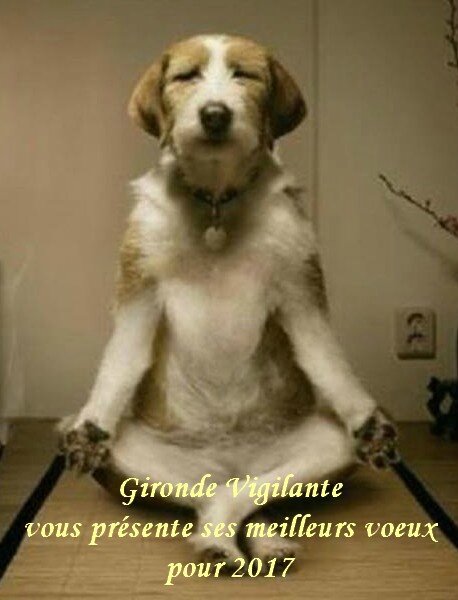 chien zen 1