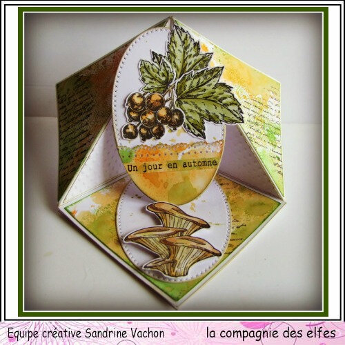 Carte pliage dt lcde (1)