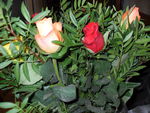 bouquets_018