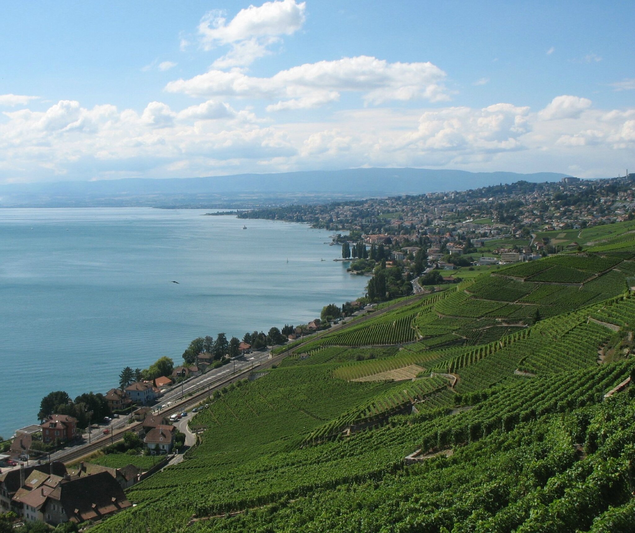 Bourg-en-Lavaux vignes et lac Leman (Suisse)
