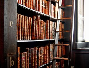 Trinity_College_Library_words_in_leather_and_wood
