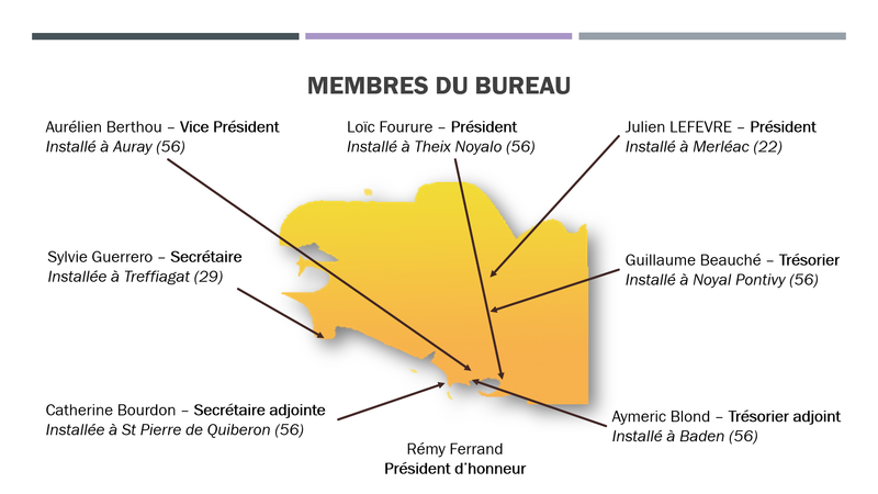 Organigramme AVB