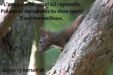 Juges_13_verset_18_copie