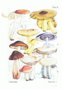 Berkeley5