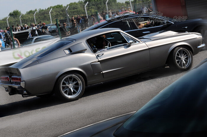 Mustangnats_Tasunkaphotos2018_16