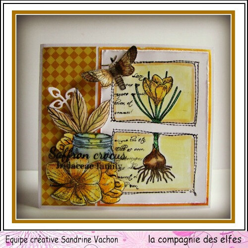 carte crocus août DT LCDE (1)