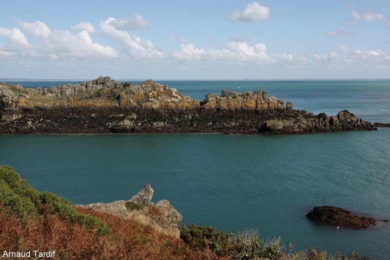 00224 Bretagne Saint-Coulomb - La Côte d'Emeraude - La Réserve Ornitho de l'Ile des Landes