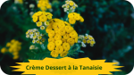 28 TANAISIE(3) Crème dessert à la Tanaisie-modified