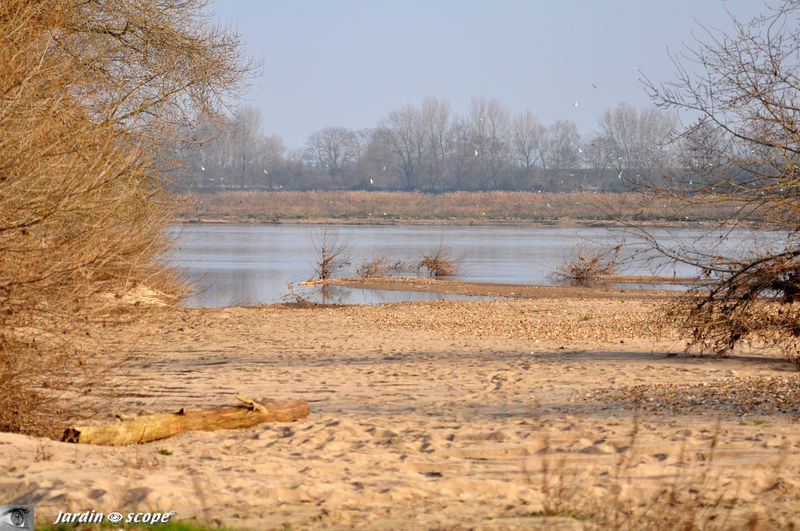 La Grande grève dans le Méandre de Bou ( 45- Loiret)