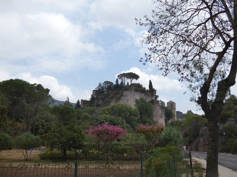 Moureze_13-08-2020(01)