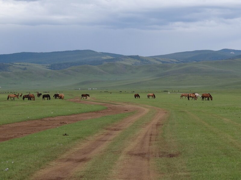 Paysage de steppe, chaîne du Khangaï et troupeaux de chevaux - aïmag Arkhangaï