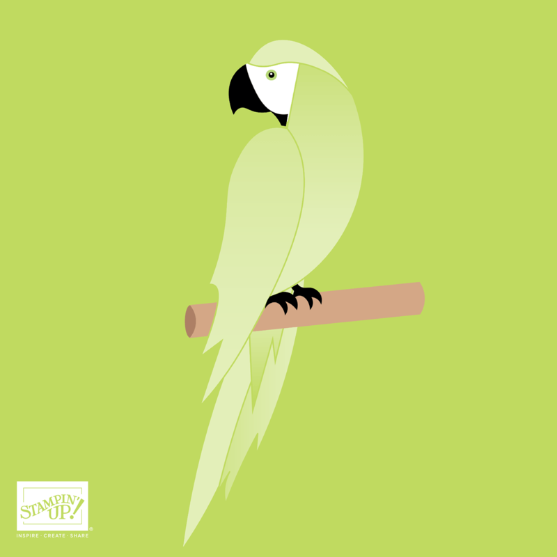 MKTL_SHR_PARAKEET_PARTY_0322_AC_INCOLOR