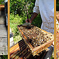 Porte ouverte aux ruchers des Miels des coteaux de <b>Bourg</b>