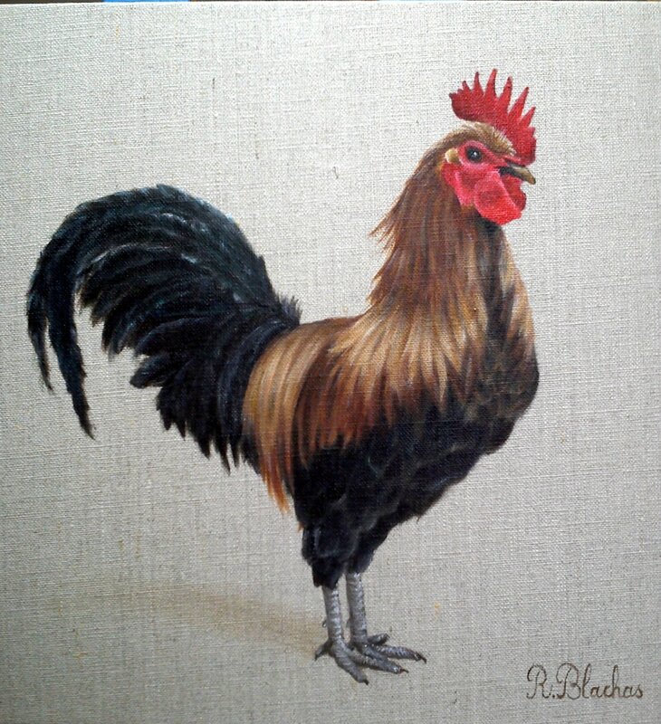 2014 coq Marans 30x30