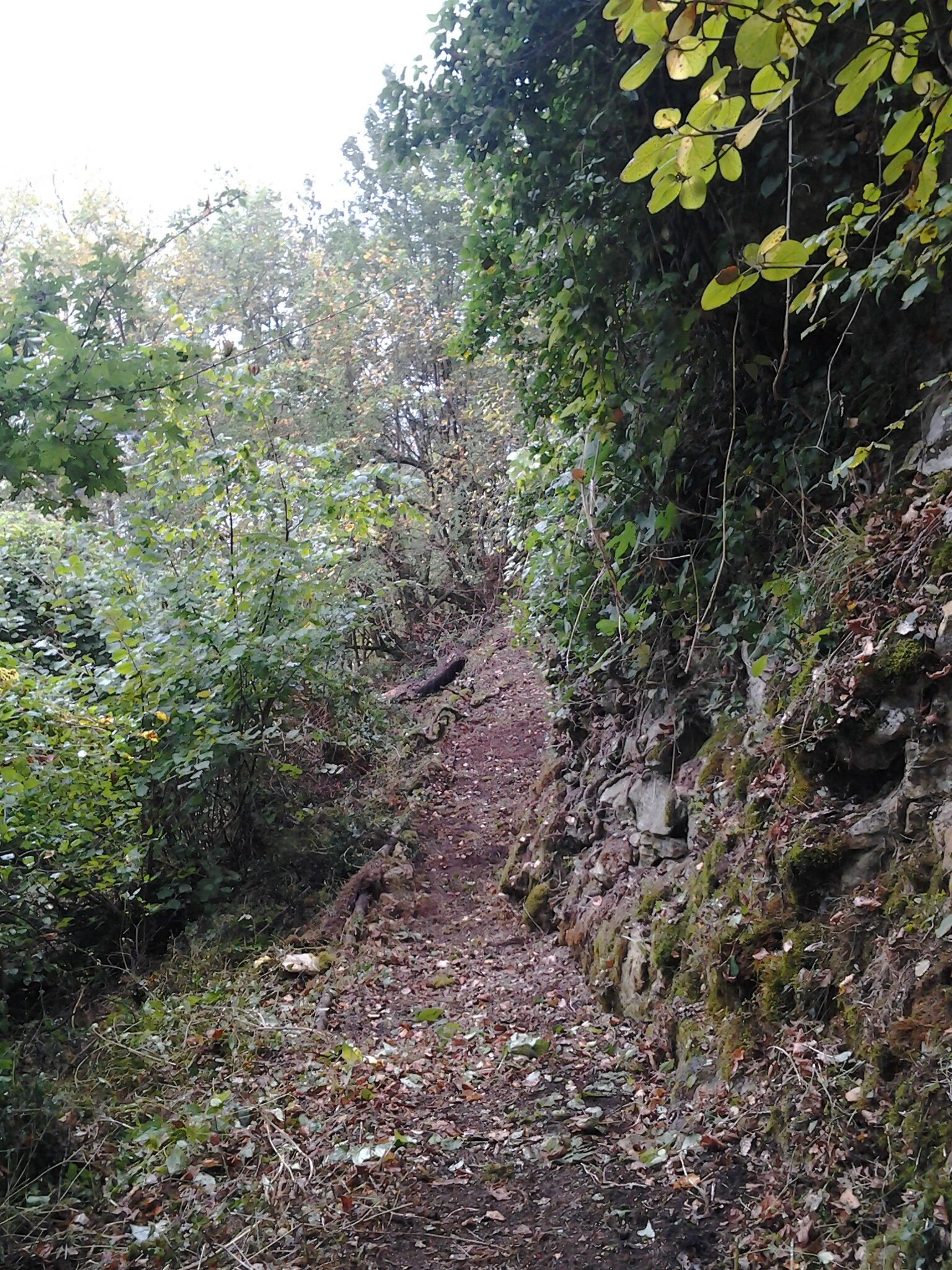 20130928_121402
