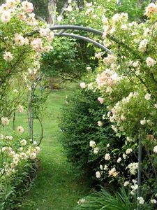 rose_garden_arch