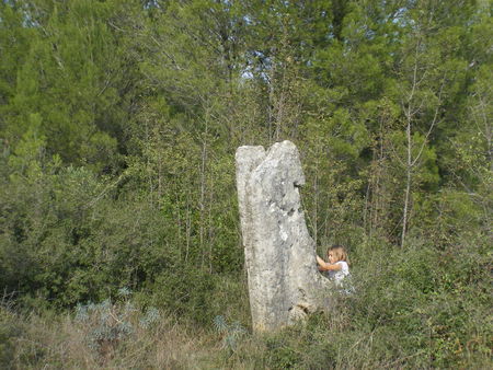 sortie_garrigues_basses_26_sept_2009_036