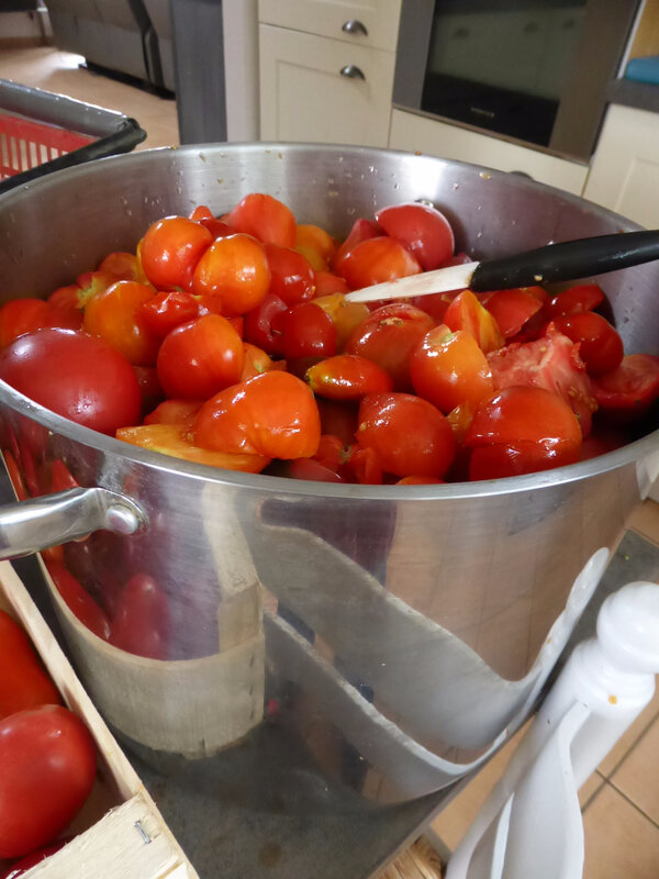 4-tomates, sauce tomate (5)