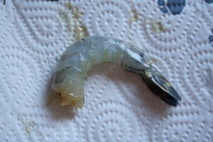 Cliquer_pour_agrandir_098