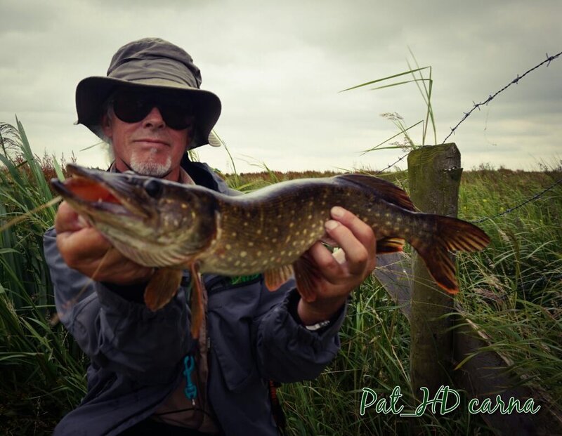 160701_brochet_Hollande_dutch_pike_02