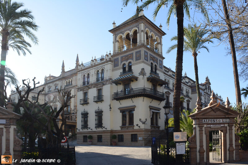 Hotel-Alfonso