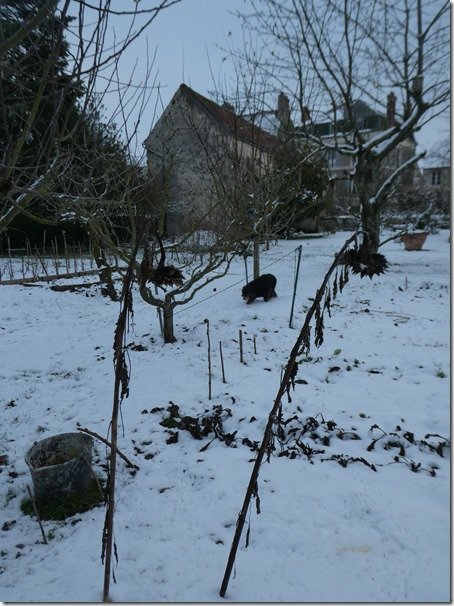 P1140020